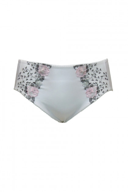 Elegant slip with classy lace and embroidery on the front