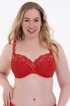 Big Cup bra with underwire and luxurious lace