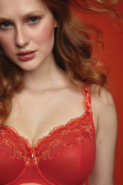 Big Cup bra with underwire and luxurious lace