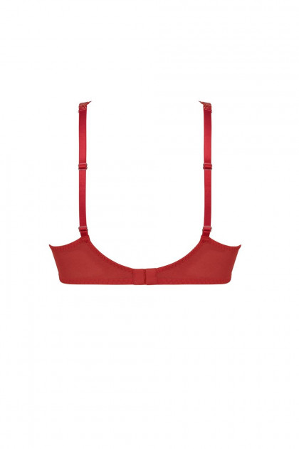 Lace luxury underwired bra that highlights the neckline