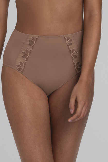 High-waist briefs with floral lace